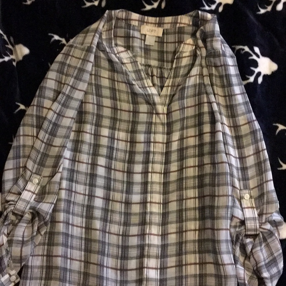 Loft Sheer Shirt-Size Small